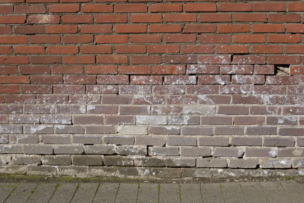 Witte zoutuitslag en afbrokkelende voegen onderaan een oude bakstenen muur bij de stoep